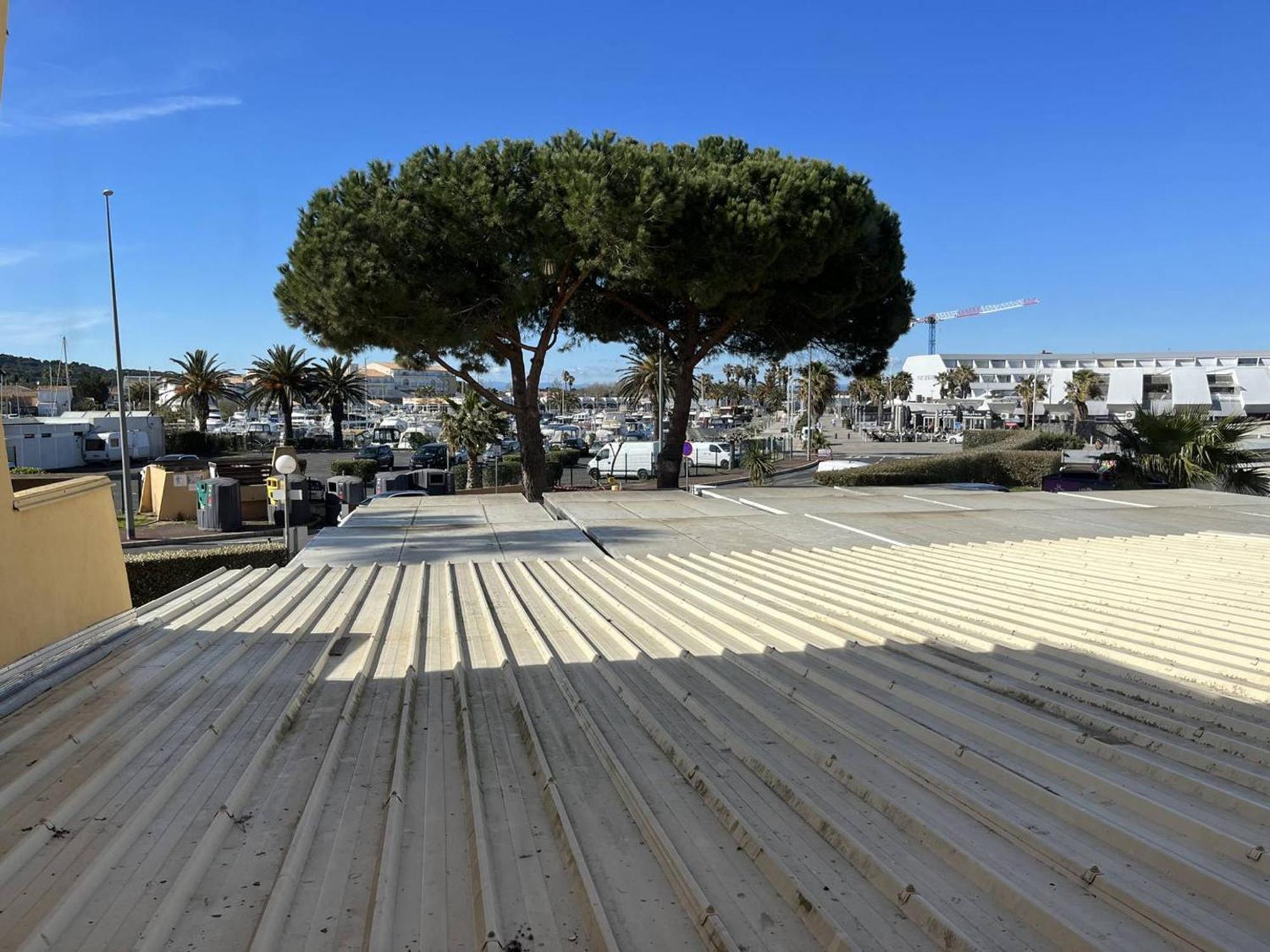 Studio Naturiste Avec Parking Au Cap D'Agde, Proche Plage - Fr-1-249A-15 Apartment ภายนอก รูปภาพ